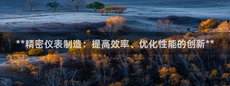 大发彩神争：**精密仪表制造：提高效率、优化性能的创新**