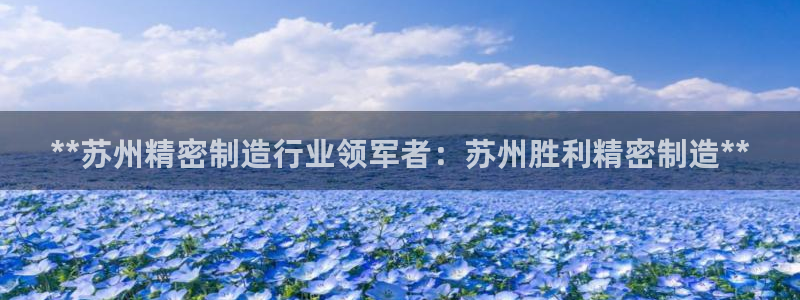 彩神8官网下：**苏州精密制造行业领军者：苏州胜利精密制造**
