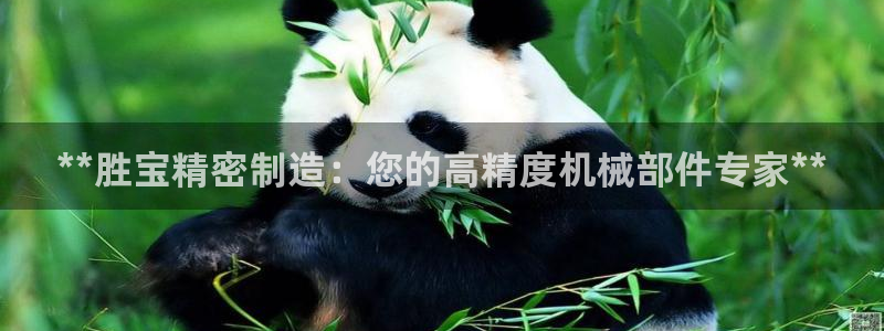 彩神大发官网：**胜宝精密制造：您的高精度机械部件专家**