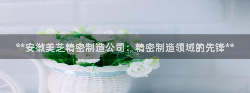 天天彩神welcome：**安徽美芝精密制造公司：精密制造领域的先锋**