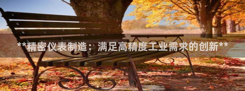 彩神v8app：**精密仪表制造：满足高精度工业需求的创新**