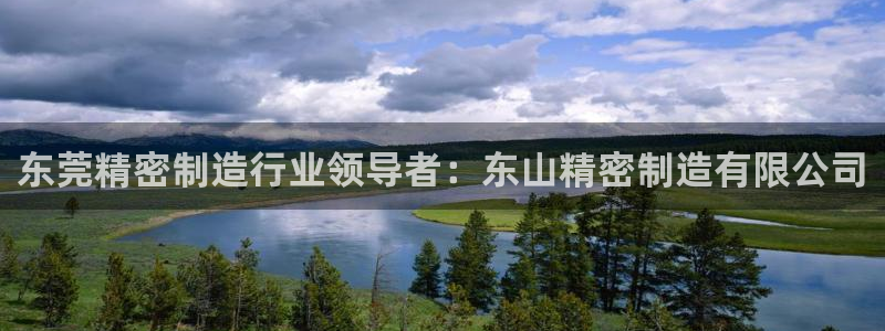 彩神平台：东莞精密制造行业领导者：东山精密制造有限公司