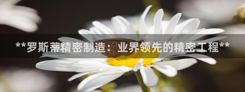 彩神8官网版是正规的吗：**罗斯蒂精密制造：业界领先的精密工程**