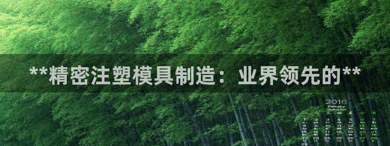 彩神争霸官方登录：**精密注塑模具制造：业界领先的**