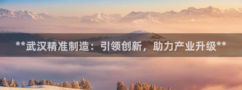 彩神8彩平台客服：**武汉精准制造：引领创新，助力产业升级**