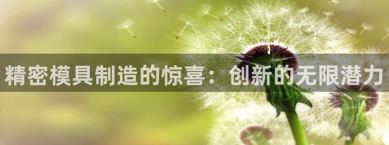 彩神vip官方网站：精密模具制造的惊喜：创新的无限潜力