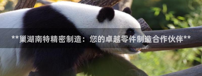 彩神新微聊：**巢湖南特精密制造：您的卓越零件制造合作伙伴**