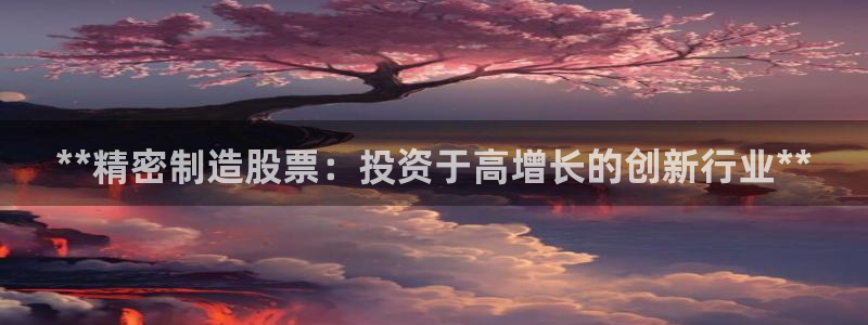 彩神购彩-购彩大厅入口娱乐首选：**精密制造股票：投资于高增长的创新行业**