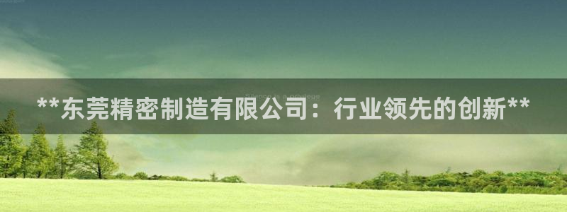 天天赢彩神：**东莞精密制造有限公司：行业领先的创新**