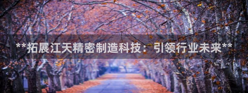 彩神通关注码金码对应码：**拓展江天精密制造科技：引领行业未来**