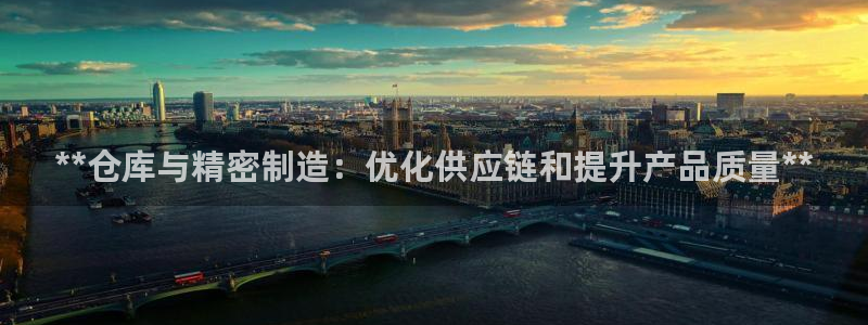 彩神vip购彩大厅下载：**仓库与精密制造：优化供应链和提升产品质量**