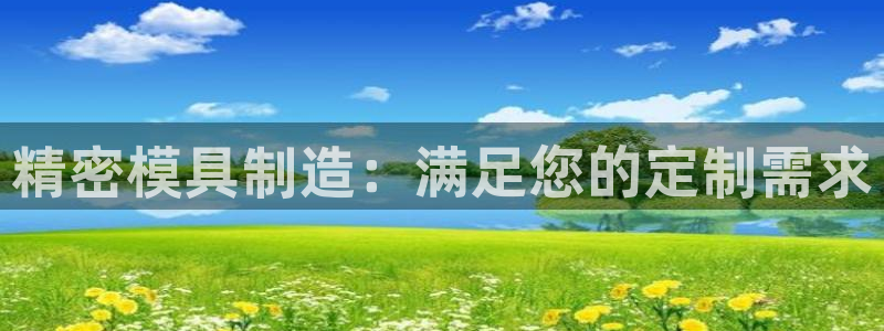 彩神大发官网：精密模具制造：满足您的定制需求