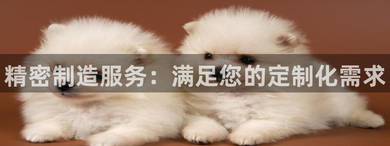 彩神8彩平台：精密制造服务：满足您的定制化需求