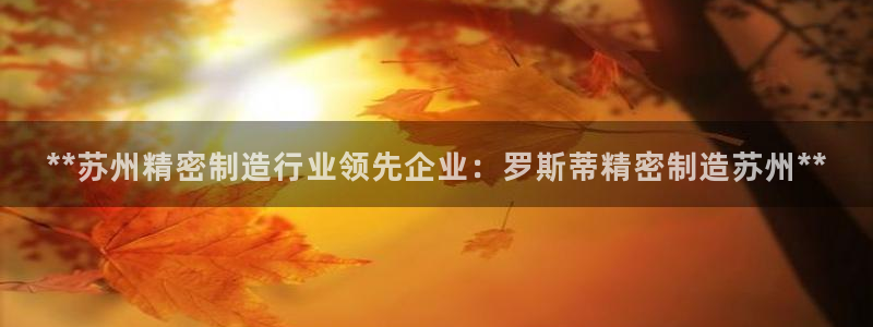 彩神官方网站登录是多少：**苏州精密制造行业领先企业：罗斯蒂精密制造苏州**
