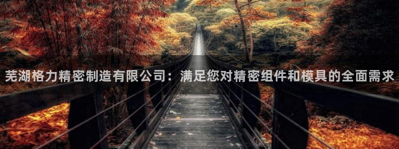彩神vⅲ下载安装：芜湖格力精密制造有限公司：满足您对精密组件和模具的全面需求