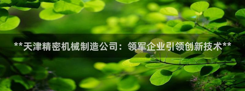 彩神8官网合法吗：**天津精密机械制造公司：领军企业引领创新技术**