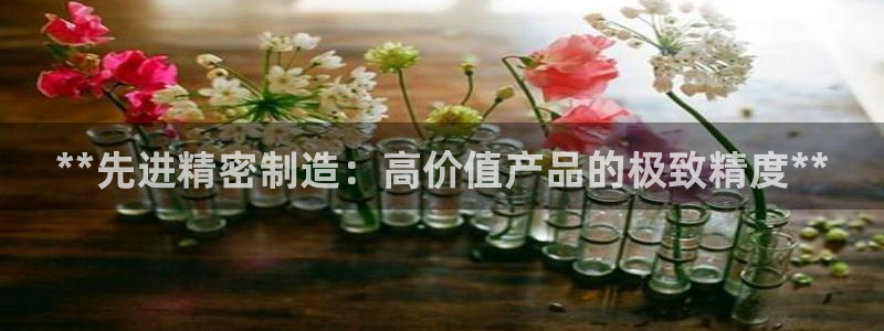 彩神ix能赚钱吗：**先进精密制造：高价值产品的极致精度**