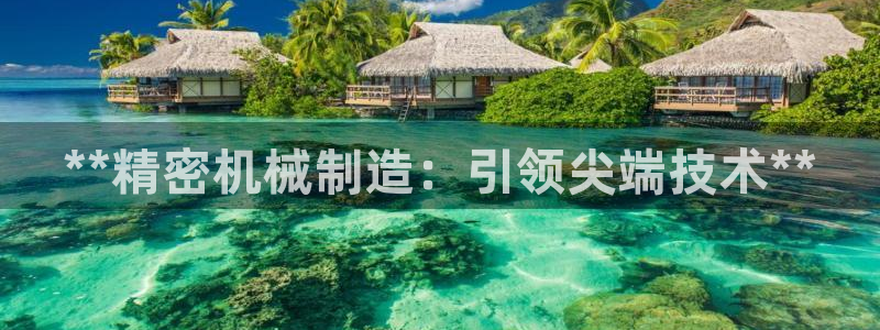 彩神8最新版下载：**精密机械制造：引领尖端技术**