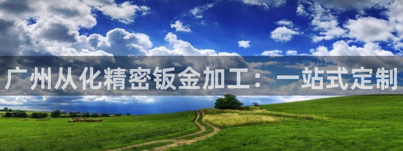 彩神 好 平台：广州从化精密钣金加工：一站式定制