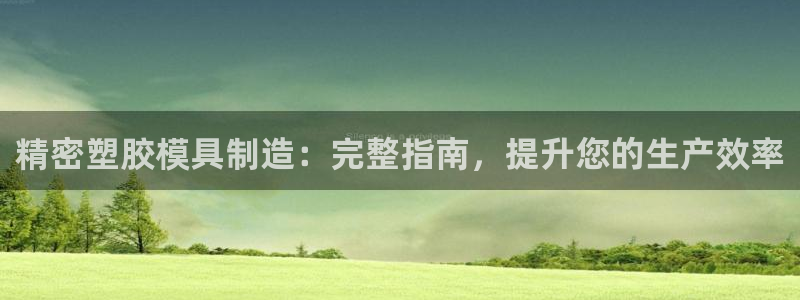 彩神盈利图片：精密塑胶模具制造：完整指南，提升您的生产效率