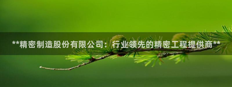 彩神v破解版：**精密制造股份有限公司：行业领先的精密工程提供商**