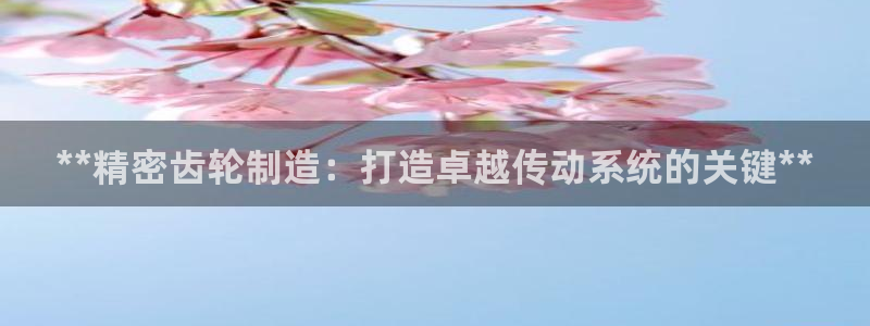 彩神输的钱是赌博还是诈骗：**精密齿轮制造：打造卓越传动系统的关键**