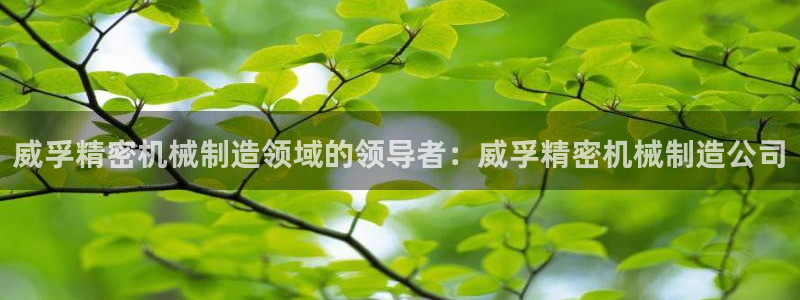 彩神vll官网-最新版app下载：威孚精密机械制造领域的领导者：威孚精密机械制造公司