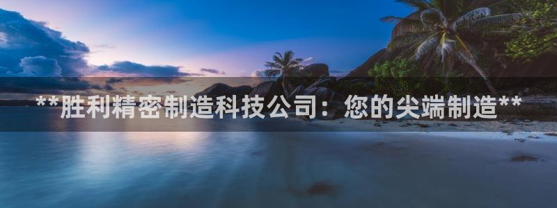 彩神v集团有限公司：**胜利精密制造科技公司：您的尖端制造**