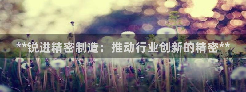 彩神购彩-购彩大厅入口36fr：**锐进精密制造：推动行业创新的精密**