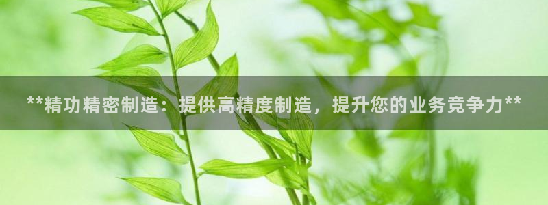 彩神8是正规平台吗是正品吗：**精功精密制造：提供高精度制造，提升您的业务竞争力**