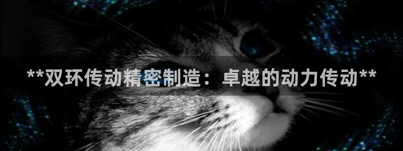 彩神网官网登录：**双环传动精密制造：卓越的动力传动**