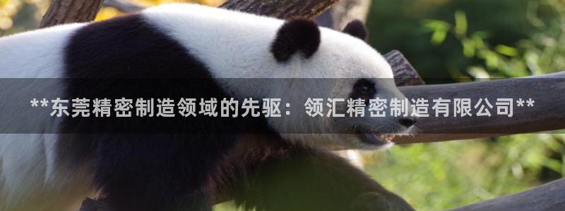 彩神ⅴll用户登录：**东莞精密制造领域的先驱：领汇精密制造有限公司**