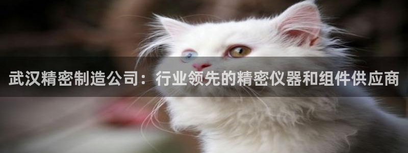 彩神平台是什么套路：武汉精密制造公司：行业领先的精密仪器和组件供应商