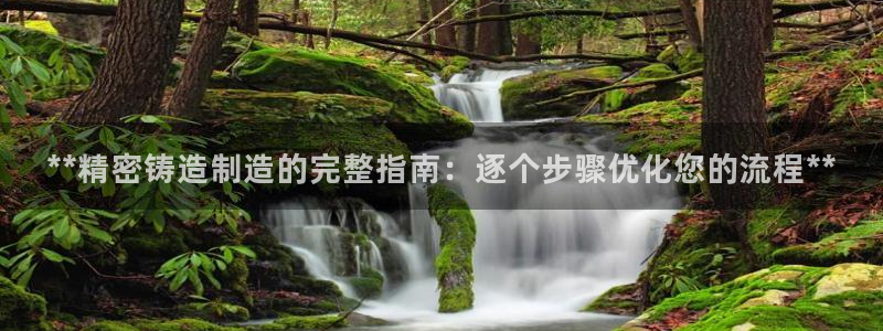 彩神v8是真的挣钱吗安全吗：**精密铸造制造的完整指南：逐个步骤优化您的流程**