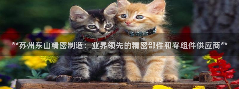 彩神正规吗：**苏州东山精密制造：业界领先的精密部件和零组件供应商**