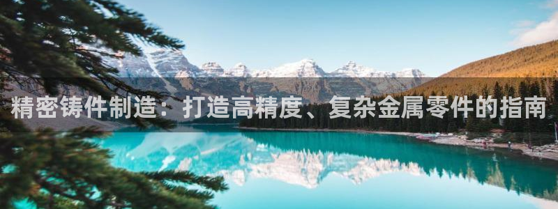 彩神团队是真的吗：精密铸件制造：打造高精度、复杂金属零件的指南