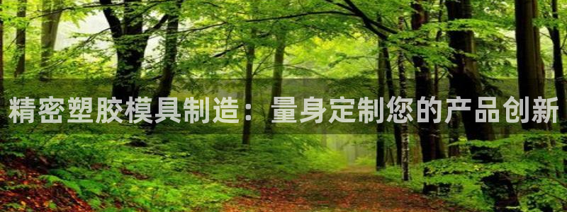 彩神ix官网：精密塑胶模具制造：量身定制您的产品创新