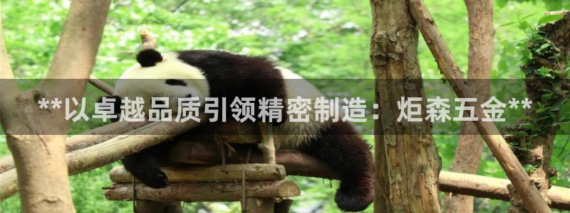 彩神v8手机客户端：**以卓越品质引领精密制造：炬森五金**