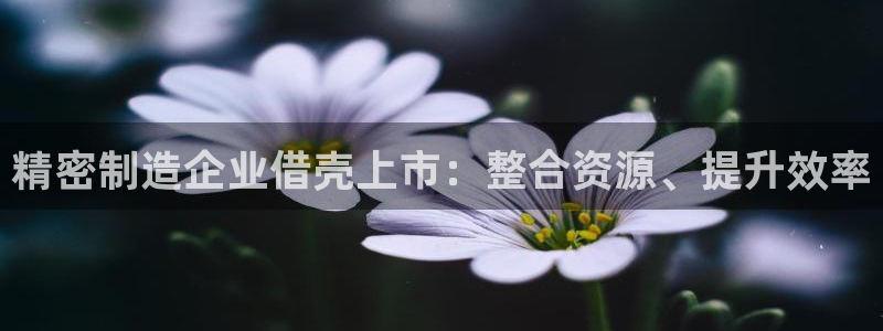 彩神v平台：精密制造企业借壳上市：整合资源、提升效率