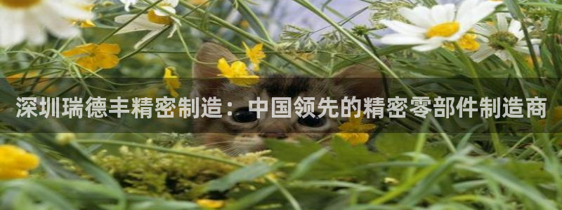 彩神8官网500：深圳瑞德丰精密制造：中国领先的精密零部件制造商