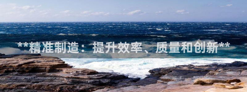 彩神vl购彩大厅：**精准制造：提升效率、质量和创新**