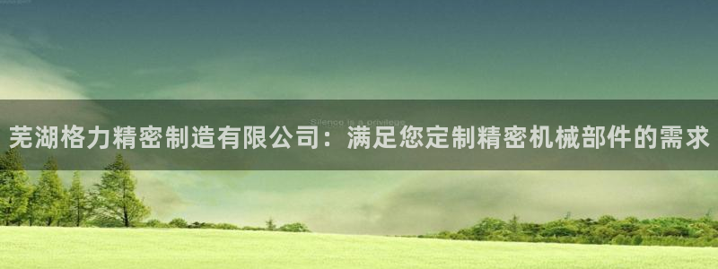彩神ll能赚钱吗：芜湖格力精密制造有限公司：满足您定制精密机械部件的需求