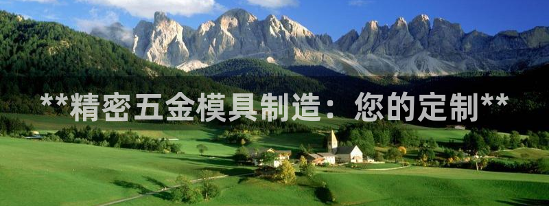 彩神v1官网：**精密五金模具制造：您的定制**