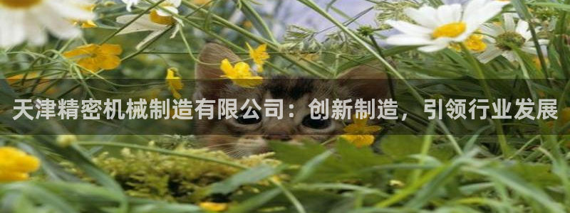 v大发彩神8iii：天津精密机械制造有限公司：创新制造，引领行业发展