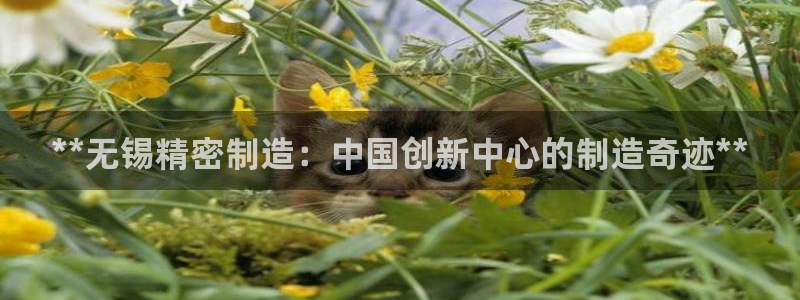 彩神可以提现吗：**无锡精密制造：中国创新中心的制造奇迹**