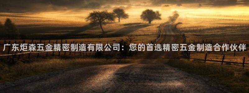 彩神vi争霸官网：广东炬森五金精密制造有限公司：您的首选精密五金制造合作伙伴