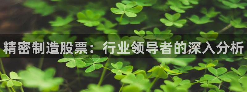 彩神v8手机客户端下载：精密制造股票：行业领导者的深入分析