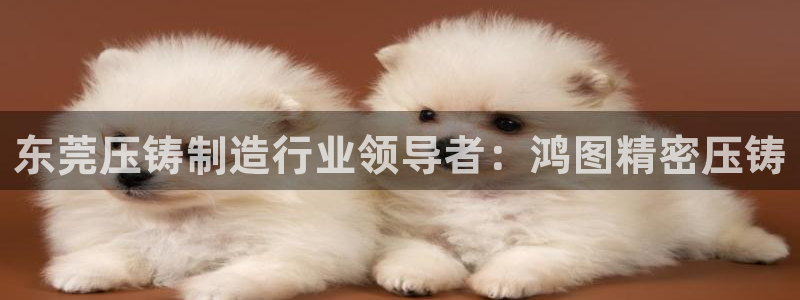 彩神ix官网是哪个公司的：东莞压铸制造行业领导者：鸿图精密压铸