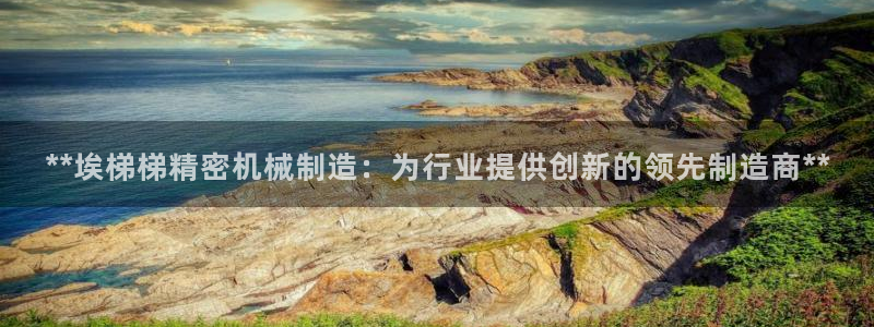 彩神vii官网：**埃梯梯精密机械制造：为行业提供创新的领先制造商**