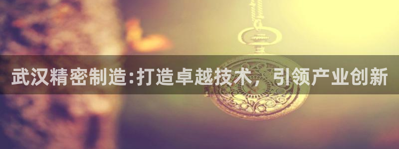 彩神赢的钱是哪里来的啊：武汉精密制造:打造卓越技术，引领产业创新